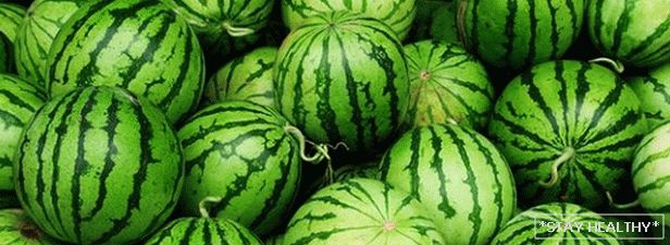 Watermelon diet (three options)