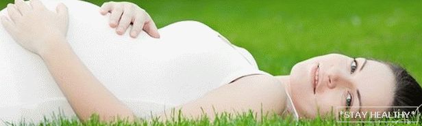 Diet during pregnancy Diet during pregnancy