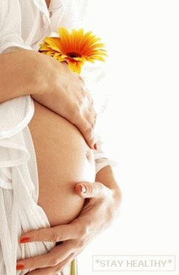 Еда вызывающая аллергию у малыша Еда вызывающая аллергию у малыша