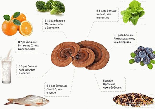 Ganoderma for weight loss