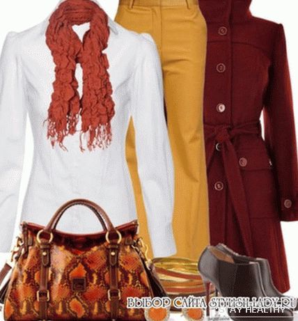 What to wear with orange pants, фото