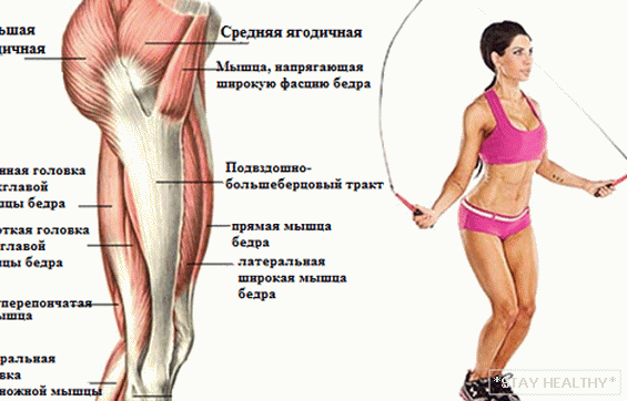 What muscles are trained in jumping rope