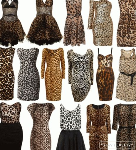Dresses with leopard print: фото