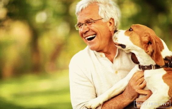 Why do dog owners live longer?