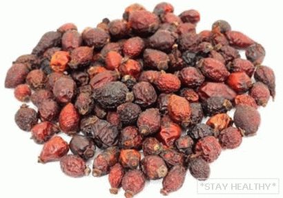 kak-prinimat-chay-iz-shipovnika